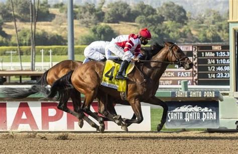 gold cup 2022 odds